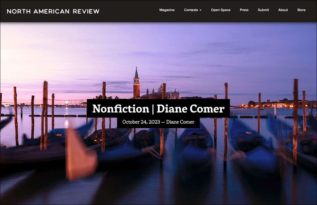 My Favorite Boot in North American Review, Fall 2023